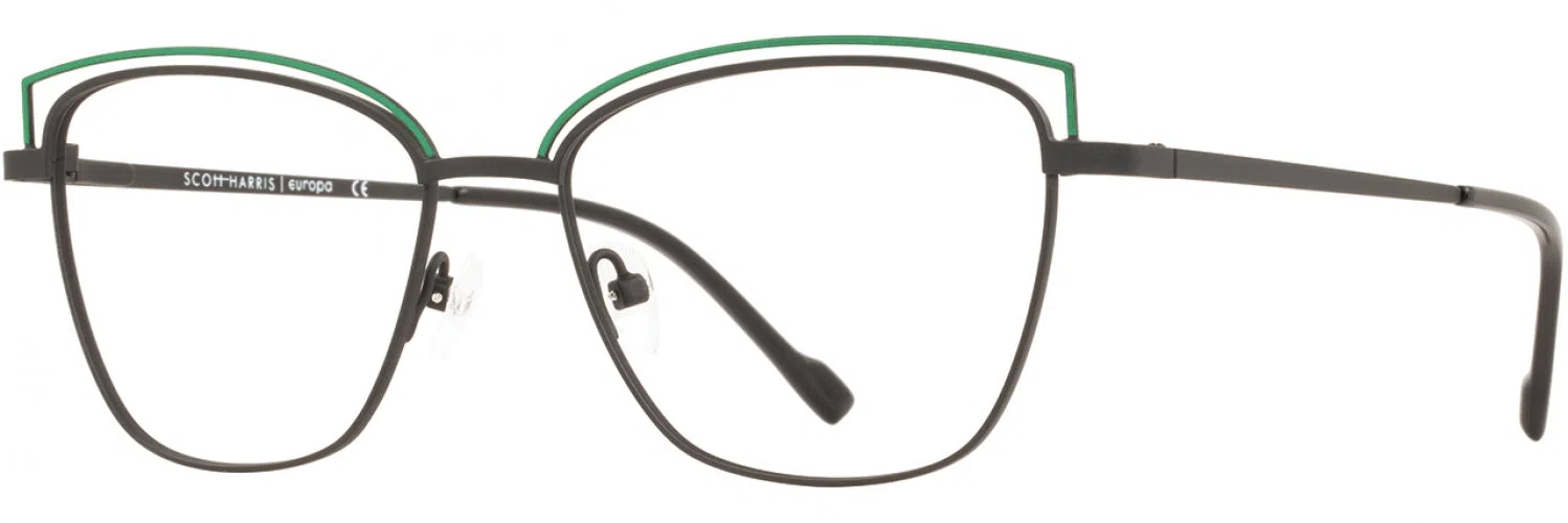 Scott Harris SH832 Eyeglasses - view 9